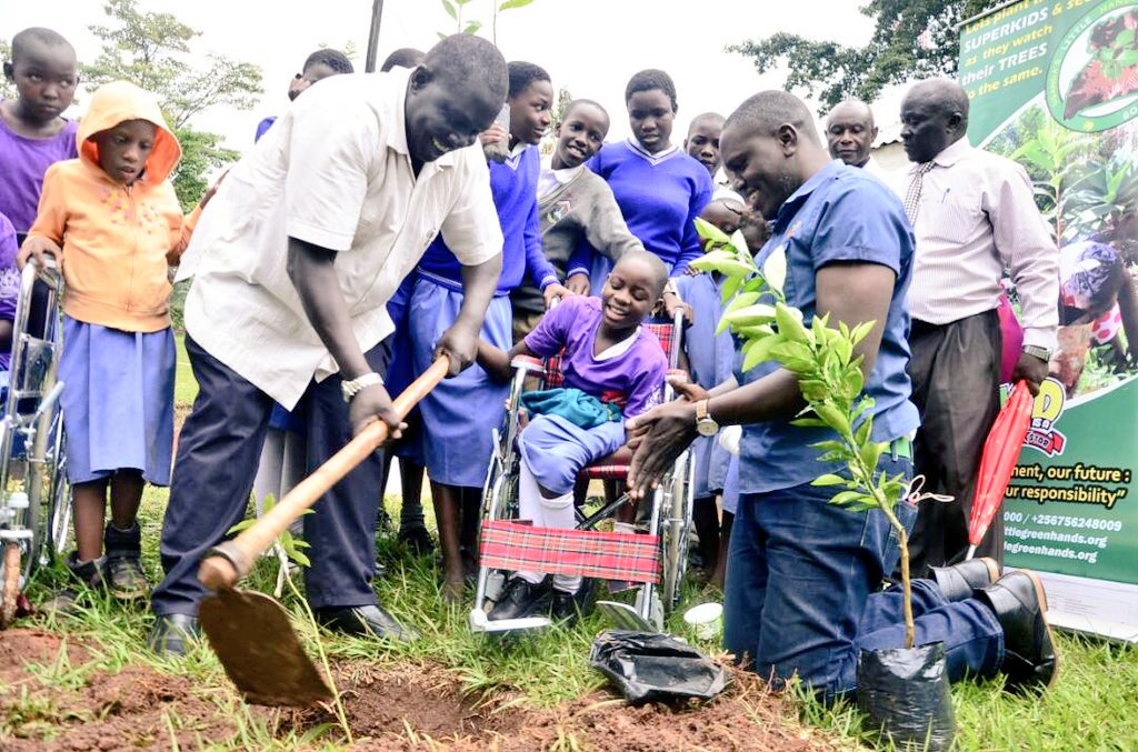 Joseph Masembe, teachers and pupils collectively planting trees