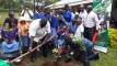 Joseph Masembe, teachers and pupils collectively planting trees