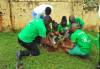 Tree planting at school